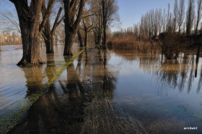Hochwasser am Sachsenhäuser Ufer Hochwasser am Sachsenhäuser Ufer
