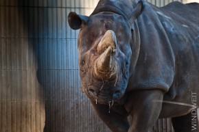 Zoobesuch Zoobesuch