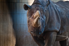 Zoobesuch