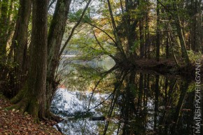 Stadtwaldseen im Herbst